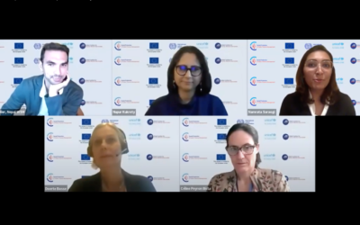 More than 100 specialists tune into webinar on financing shock-responsive social protection systems