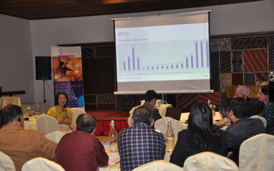 Tripartite workshop participants analyse social protection gaps in Nepal