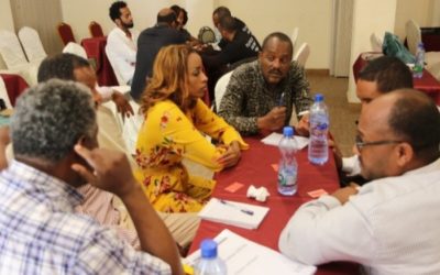 Journalists strengthen their role in promoting disability-inclusive social protection systems in Ethiopia