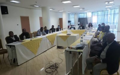 Consultative workshop on Disability Inclusion within the Productive Safety Net Program (PSNP V) in Ethiopia